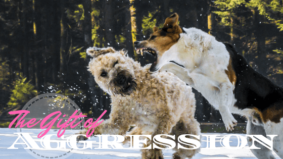 20181006_105238_0001